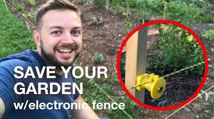 Up north when it's hot, down south when it's not. How I Saved My Garden From My Vicious Chickens With A Small Electric Fence Youtube