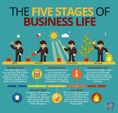 5 Stages Of Business Life Management Infographic Business Growth Business