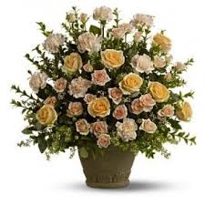 Use the hashtag #broodx or #broodxcicadas on social media. About Us Blossoms At Dailey S Flower Shop Fairfield Ct