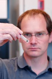 Pine Beetle Study Leads to Bioenergy Research