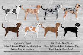 catahoula leopard dog illustration by vizualstorm on