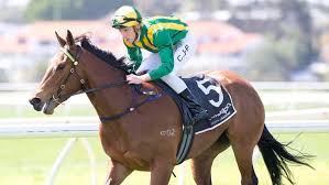 Adam Durrant talks up roughie Indigo Blue in Group 3 Champion Fillies  Stakes at Ascot