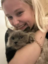 Lost and Found Cats in Norwich UK