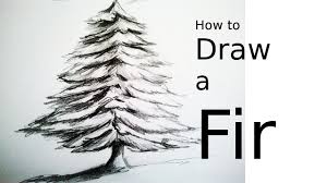 Begin your drawing by making a tall skirt shape with a pointy top as shown in the picture. How To Draw A Tree A Fir With Pencil Drawing Easy And Fast For All Christmas Tree Drawing Tree Drawing Easy Drawings
