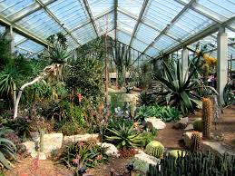 Primero, es indispensable consultar e investigar qué temperaturas pueden soportar nuestras especies de cactus. Cuidados De Los Cactus Y Suculentas Durante El Frio Invierno Entrecactus