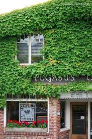 Dining At Pegasus Coffee Bainbridge Island By Backroads Of Bainbridge Via Flickr Bainbridge Island Washington Bainbridge Island Vashon Island