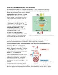 Cellular respiration is a process that occurs in the mitochondria of all organisms. Aerobic Respiration Reading With Questions