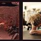 SCULPT + SALT + SOCIAL- The Wellness Experience