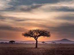 Durban et le pays zoulou. 10 Raisons D Aller En Afrique Du Sud Flytrippers