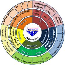 Organizational Models Blog Luz