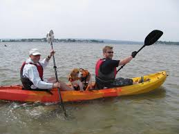 Maybe you would like to learn more about one of these? Cheap Kayaks Uk Affordable Kayak Hire In Dorset Home Facebook
