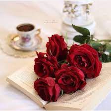 Maybe you would like to learn more about one of these? 130 Flowers Dps Ideas Flowers Beautiful Flowers Pretty Flowers