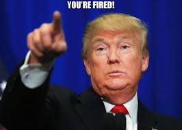 Image result for trump you're fired