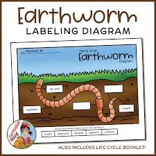 Students cut and paste or write words in boxes to label an earthworm diagram. Pin On Curriculum Hound Tpt