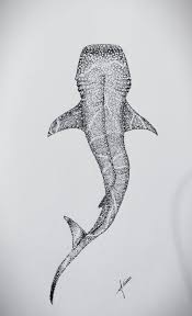 Whale Shark, me, pens, 2020 : r/Art