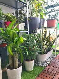 Tanaman hiasan ini sering kelihatan menghiasi taman dan bahagian dalam rumah. 12 Panduan Set Up Taman Mini Balkoni Rumah Tinggi Wow Sungguh Hasilnya Mingguan Wanita