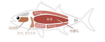 青森マグロ専門店 あおもり海山ネットショップ