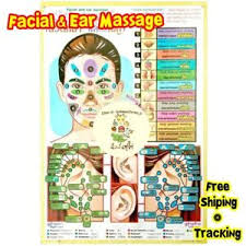 Details About 1pcs Thai Facial Ears Face Massage Teaching Poster Spa Reflexive Sketch Chart