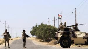 Jun 06, 2011 · el arish tropical exotic's detailed plant descriptions make it easy to choose the right plants for your garden. Egypt Foils Terror Attack In Arish Asharq Al Awsat
