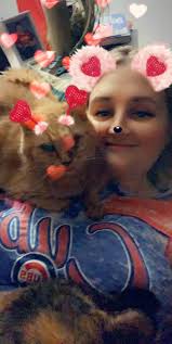 Lost Orange Tabby Cat in Miami Heights/Cleves Area