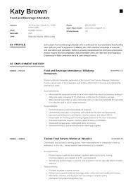 Chronological resume format, functional resume format, or combo resume format? 22 Food And Beverage Attendant Resume Examples Word Pdf 2020