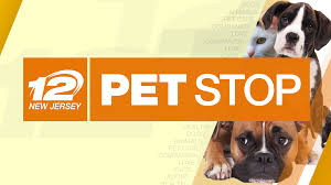 Above everything else, we are animal lovers. 2018 The Pet Stop Information