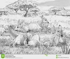 The framing of your art print or canvas art item is nearly as vital as the print itself. Detailed Landscape Coloring Pages For Adults Part 5