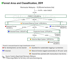 The ppb group through its joint venture company, galaxy studio, operates more than 80 screens under the galaxy cinema chain in vietnam. Excision The Main Threat To Forests In Peninsular Malaysia Macaranga