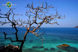 Kedai barangan kereta pulau kambing terengganu teong huat. Pulau Rawa Terengganu Malaysia