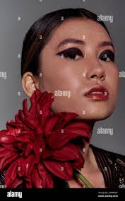 Asian dahlia immagini e fotografie stock ad alta risoluzione