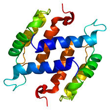 Ca 125, cancer antigen 125 test is a blood test which is used to detect levels of this protein in blood. Cancer Antigen 125 Ca 125 Test Cancerquest
