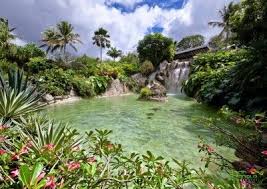Jardin Botanique Deshaies Guadeloupe 11 Guadeloupe Voyage Jardin Botanique Guadeloupe