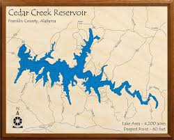Entire cabin · 6 guests · 3 beds · 2 baths. Cedar Creek Reservoir Lakehouse Lifestyle