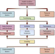 Care And Rehabilitation Of People With Long Term Conditions