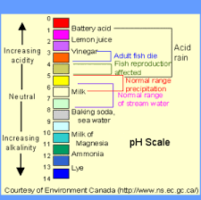Apple cider vinegar can help restore this ph balance. Ph Concepts Ph Indicators Examples With Questions Videos