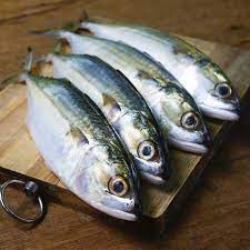 Resep ikan tenggiri segar 257. Ikan Tenggiri 3 Dimensi Kerupuk Keriting Ikan Tenggiri Mini Silva Fortuna777 Online Outletz Real Bingo Online Blogspot Com