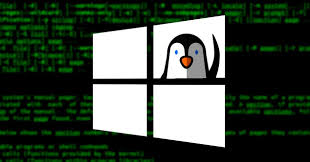 This could be slow and several features weren't available. Wsl What Is And How To Use The Windows Subsystem For Linux Itigic