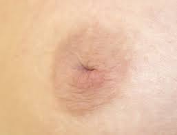 Image result for Nipple Inversion