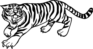 Tiger Coloring Pages Ideas With Awesome Pattern Animal Coloring Pages Mandala Coloring Pages Easy Tiger Drawing