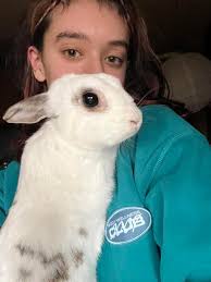 Piper and Titus' new beds from old bunk beds