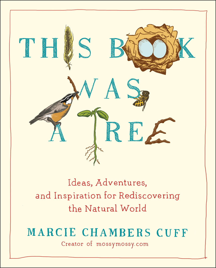 25 Teacher-Approved Children's Books About Trees - Teaching Expertise