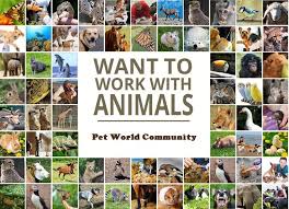 Pin By Tuesday D Eon On Animal Logos Work With Animals Animals Images Travel Drawing