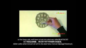 2 days ago · browse all open access f1000research articles and accelerate the impact of your research. Apple Stem Cell Malaysia Phytoscience Stem Cell
