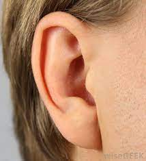 What Can Cause A Swollen Ear Lobe With Pictures