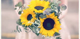 Sunflowers provide a pop of color to any wedding bouquet and work well with summer, spring or autumn weddings. Fall Wedding Bouquets With Sunflowers Bouquets New Model