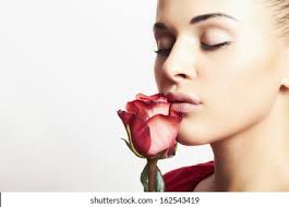 1,791 Alisa Images, Stock Photos, 3D objects, & Vectors