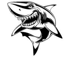 Download 30 Cartoon Sharks Ideas Shark Art Shark Cartoon