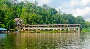 Lihat ide lainnya tentang gambar naga, gambar, naga. Tasik Lagenda Naga Tasik Chini Pahang Bakal Berwajah Baru Libur