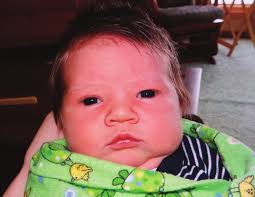 Wayne Layout Template