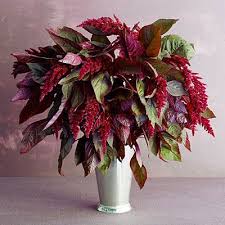 Pin On Floral Arrangements